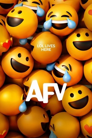 America’s Funniest Home Videos